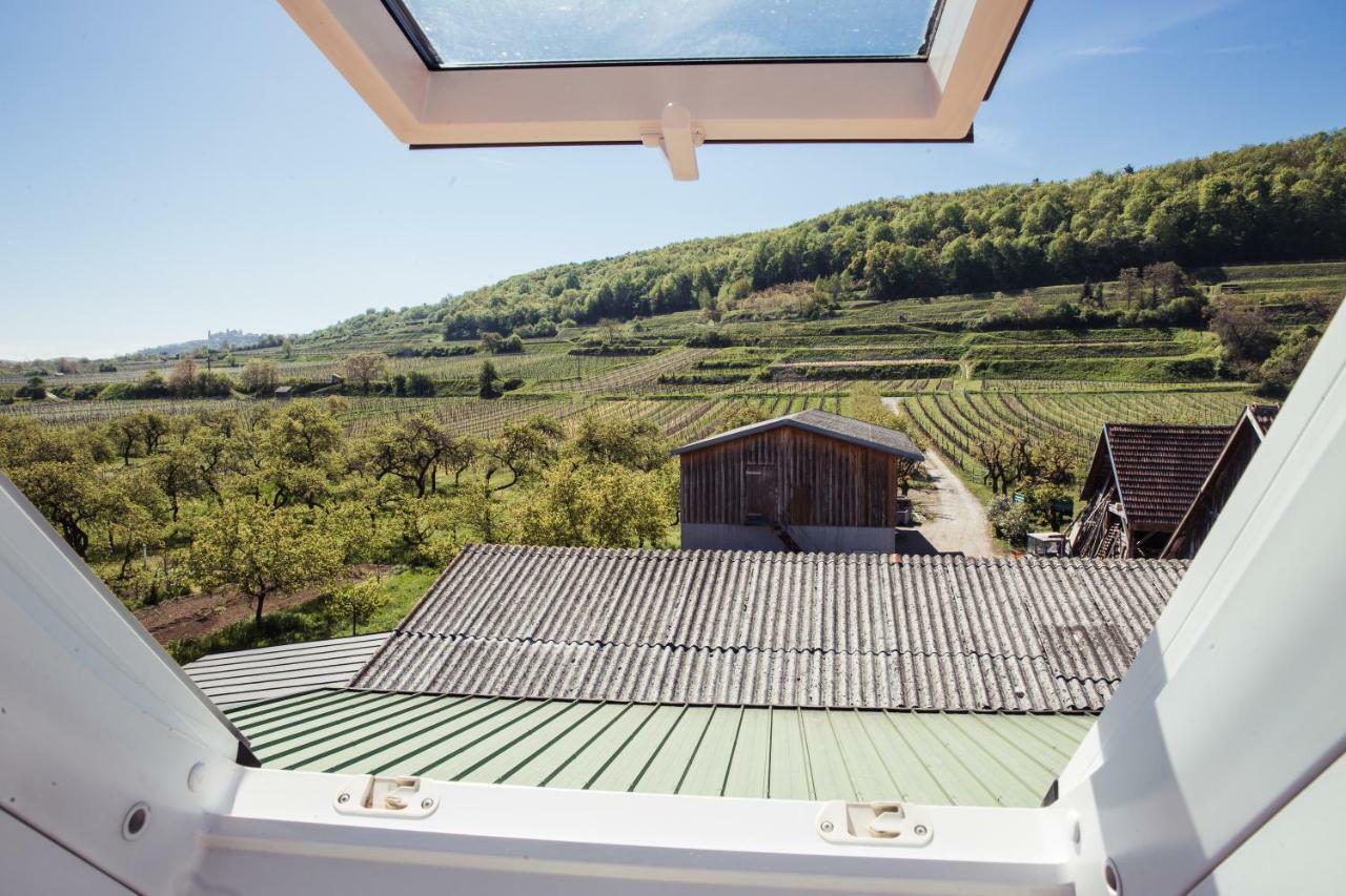 Weingut Jakob'S Ruhezeit Mautern Exteriér fotografie